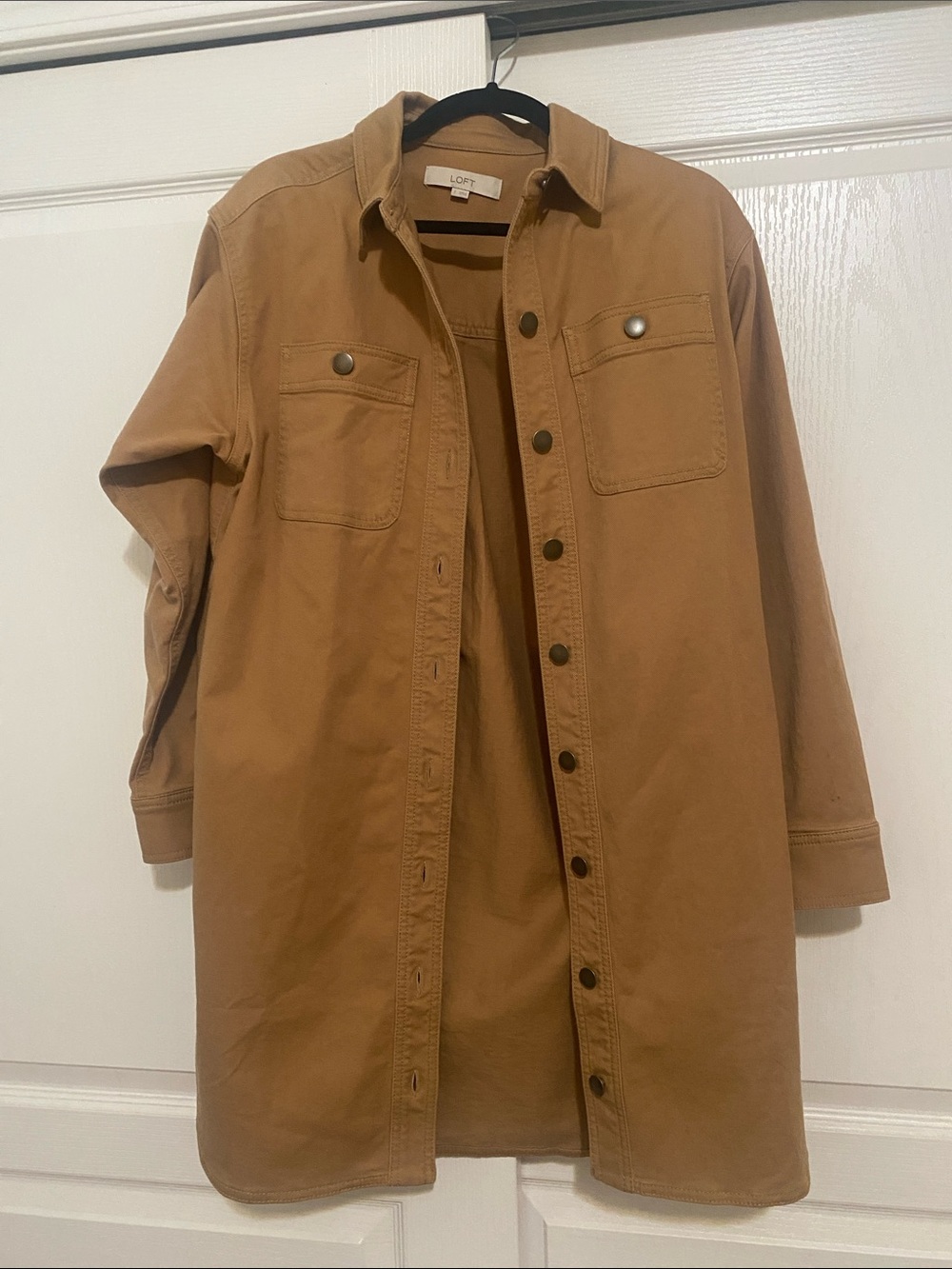 LOFT Women’s Caramel Canvas Dress